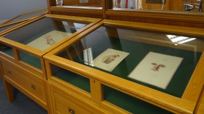 There is a small display of medical illustrations from the 1830s taken from the William Wallace Collection (RCSI/IP/Wallace) on display in the Study Room on the ground floor of the Mercer Library. All staff are more than welcome to go over and take a peak! 