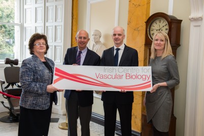 Pictured at the launch of the Irish Centre for Vascular Biology, on 30th March, (l-r) is Prof Hannah McGee, Dean of the Faculty of Medicine & Health Sciences; Prof Ray Stallings, Director of Research & Innovation; Prof James O'Donnell, Director of the Irish Centre for Vascular Biology and Professor of Vascular Biology; and Prof Tracy Robson, Professor & Head of Molecular & Cellular Therapeutics (MCT). 